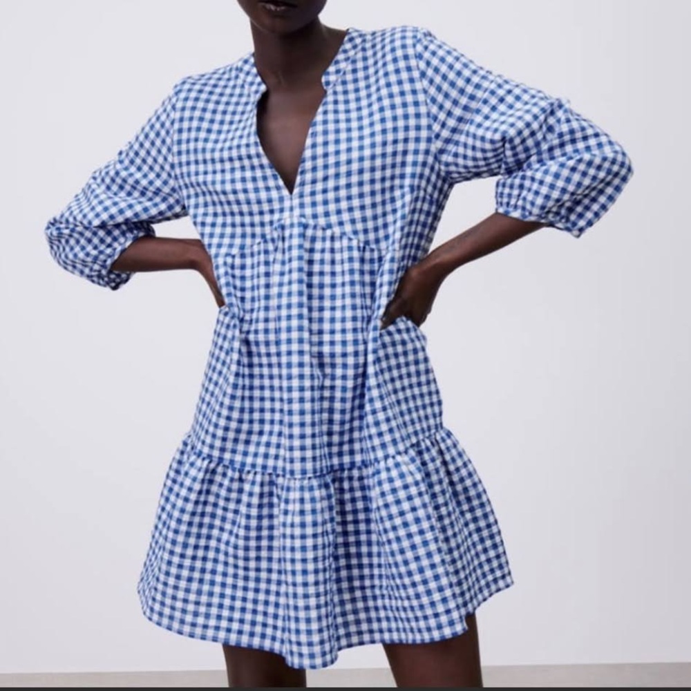 Zara Blue Gingham Dress